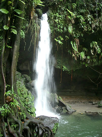 dominica-emerald-pool-cascata-6.jpg