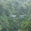 dominica-rain-forest-aerial-trams.jpg