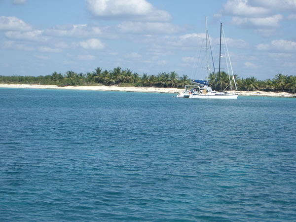 isola-catalina-barca-a-vela.jpg