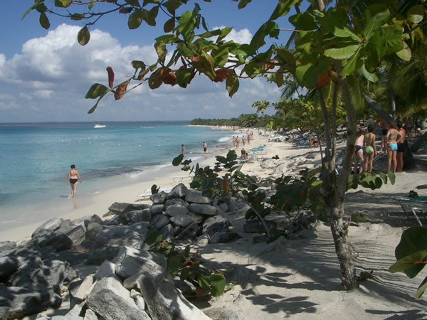 isola-catalina-bel-panorama.jpg