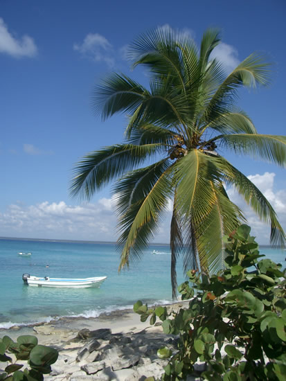 isola-catalina-paesaggio-tropicale.jpg