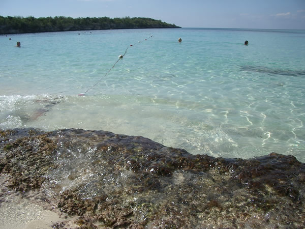 isola-catalina-scoglio.jpg