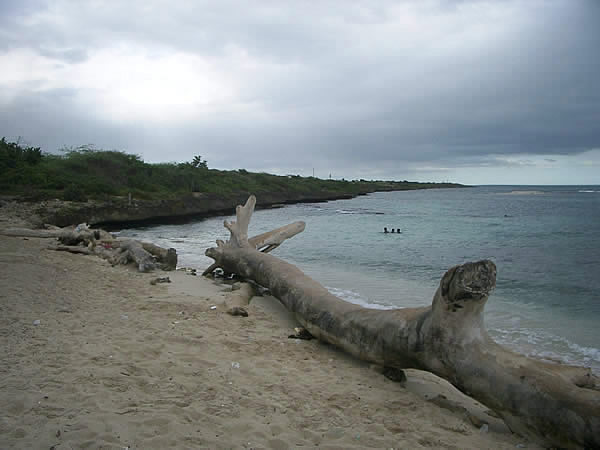 rep.-dominicana-la-caletta-tronco-2