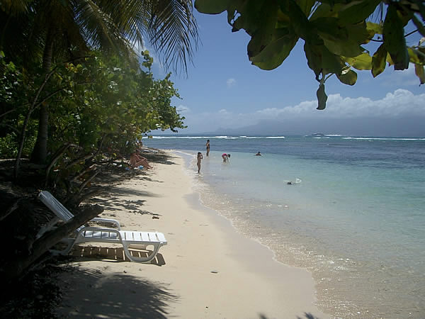 guadalupa-ilet-gosier-bella-spiaggetta.jpg