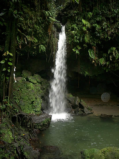 dominica-emerald-pool-cascata-1.jpg