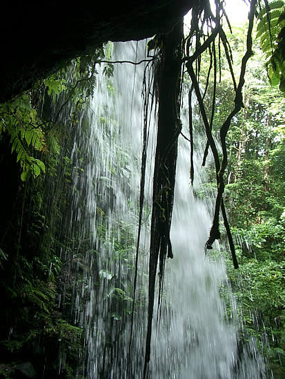 dominica-emerald-pool-cascata-3.jpg