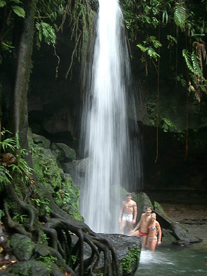 dominica-emerald-pool-cascata-8.jpg