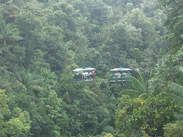 dominica-rain-forest-aerial-trams.jpg