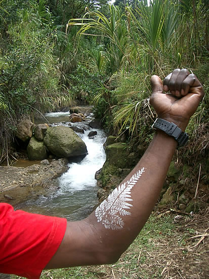 dominica-natural-tattoo.jpg