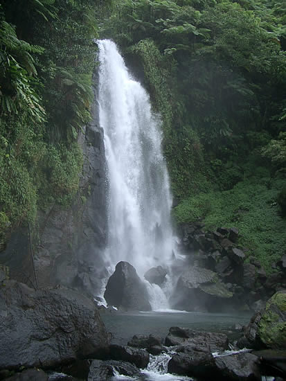 dominica-trafalgar-falls-mama-2.jpg