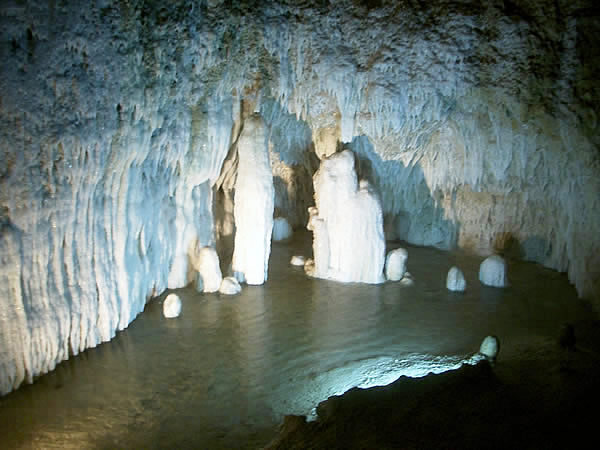 barbados-harrisons-cave-laghetto.jpg