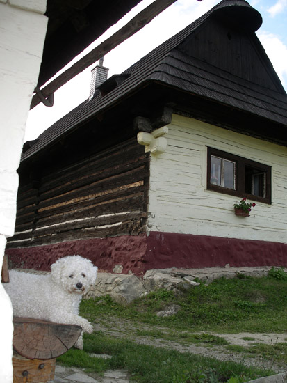 Vlkolinec-batuffolo