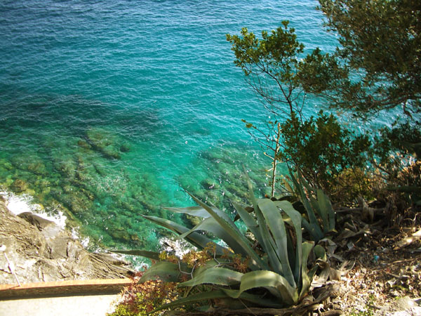 monterosso-mare