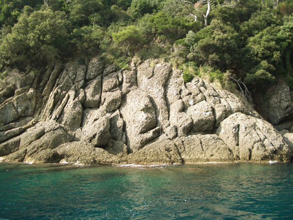 san fruttuoso-roccia