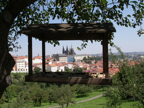 Praga-cartolina-1