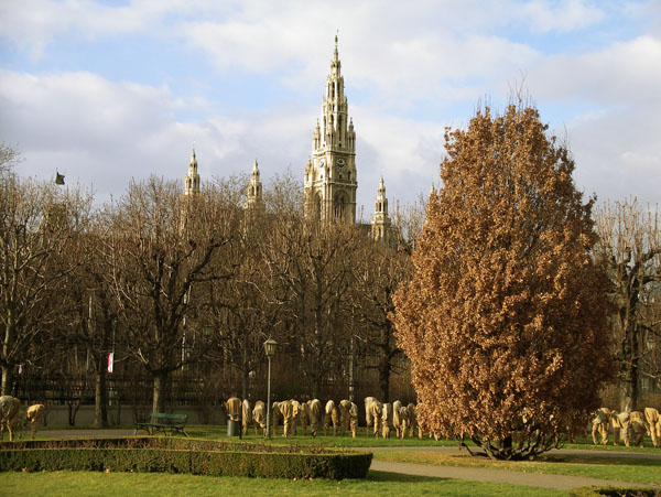 Vienna-municipio-2