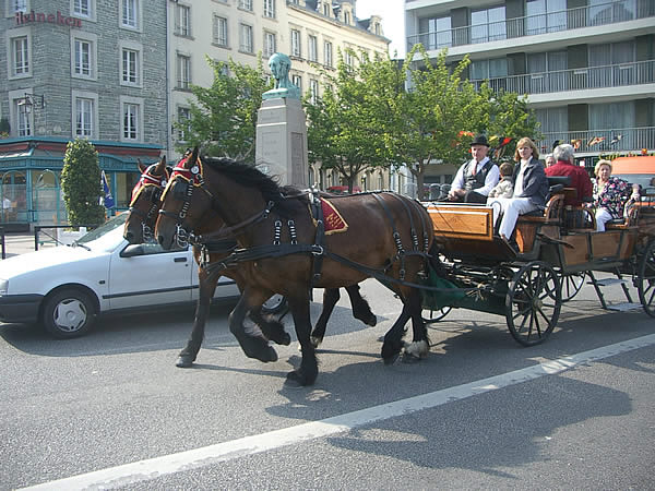 cherbourg-carrozza-cavalli.jpg