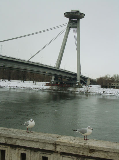 Brati danub 2