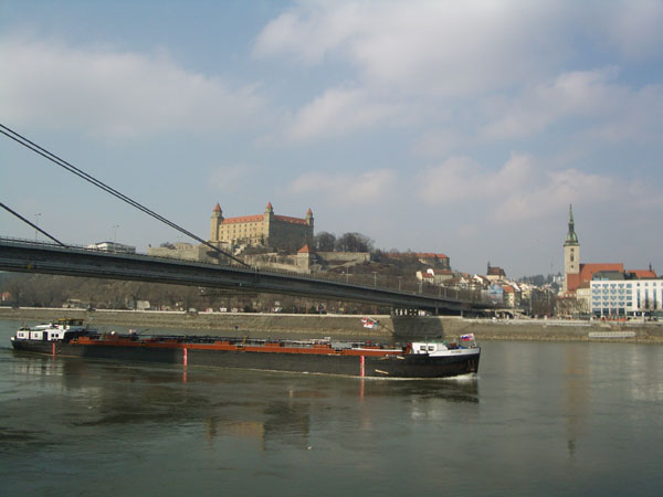 cartolina 1