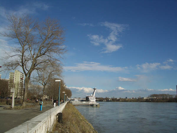 danubio 4