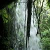 dominica-emerald-pool-cascata-3.jpg