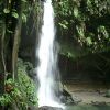 dominica-emerald-pool-cascata-6.jpg