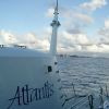 barbados-atlantis-3.jpg