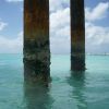 barbados-the-boatyard-pali.jpg