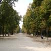 parma-parco ducale-viale1