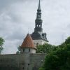 tallin-campanileetorre.jpg