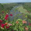 altos-de-chavon-fiori-5.jpg
