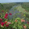 altos-de-chavon-fiori-5.jpg